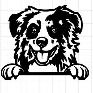 COPY - Austrian shepherd dog decal
